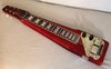 Rickenbacker 100/6 LapSteel, Burgundy: Free image