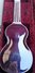 Rickenbacker G/7 LapSteel, Silver: Full Instrument - Rear
