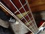 Rickenbacker 4001/4 , Burgundy: Neck - Front