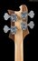 Rickenbacker 4003/4 , Natural Walnut: Headstock - Rear