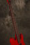 Rickenbacker 2030/4 BT, Red: Neck - Front
