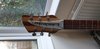 Rickenbacker 330/6 , Mapleglo: Headstock
