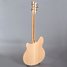 Rickenbacker 360/6 , Mapleglo: Full Instrument - Rear