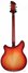 Rickenbacker 360/6 , Fireglo: Full Instrument - Rear