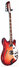 Rickenbacker 360/6 , Fireglo: Neck - Front