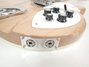 Rickenbacker 360/6 , Mapleglo: Close up - Free