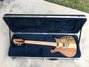 Rickenbacker 650/6 Sierra, Walnut: Free image2