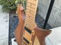 Rickenbacker 650/6 Sierra, Walnut: Neck - Front