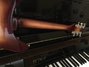 Rickenbacker 310/6 C64, MonteBrown: Neck - Rear