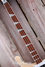 Rickenbacker 4003/4 , Mapleglo: Neck - Front