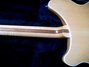 Rickenbacker 360/12 , Mapleglo: Full Instrument - Rear