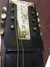 Rickenbacker D16/2 X 8 LapSteel, Gray: Free image