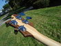 Rickenbacker 4003/4 S, Natural Walnut: Headstock - Rear