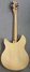 Rickenbacker 330/6 BH BT, Mapleglo: Full Instrument - Rear
