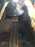 Rickenbacker B/6 , Black: Neck - Rear