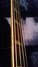 Rickenbacker 4001/4 FL, White: Free image