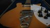 Rickenbacker 620/6 , Mapleglo: Free image