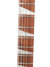 Rickenbacker 620/12 , Fireglo: Close up - Free