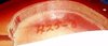 Rickenbacker ES17/6 Electro, Fireglo: Close up - Free