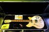 Rickenbacker 360/12 , Mapleglo: Free image