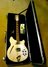 Rickenbacker 360/12 , Mapleglo: Close up - Free2