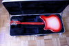 Rickenbacker 360/12 , Fireglo: Full Instrument - Rear