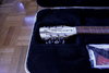 Rickenbacker 330/12 , Mapleglo: Close up - Free2