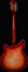Rickenbacker 360/12 , Fireglo: Full Instrument - Rear