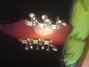 Rickenbacker 620/12 , Fireglo: Headstock - Rear