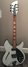 Rickenbacker 360/6 WB BH BT, Silver: Full Instrument - Front