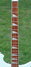 Rickenbacker 620/6 , Blue Boy: Neck - Front