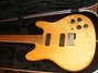 Rickenbacker 230/6 , Mapleglo: Free image