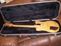 Rickenbacker 230/6 , Mapleglo: Full Instrument - Rear