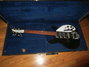 Rickenbacker 320/6 Mod, Jetglo: Free image2