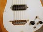 Rickenbacker 1000/6 , Mapleglo: Close up - Free