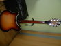 Rickenbacker 370/12 , Fireglo: Full Instrument - Rear