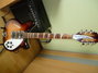 Rickenbacker 370/12 , Fireglo: Neck - Front
