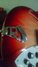 Rickenbacker 360/6 , Fireglo: Free image