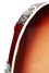 Rickenbacker 360/6 , Fireglo: Close up - Free