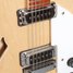 Rickenbacker 360/12 , Mapleglo: Free image