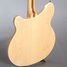 Jan 2011 Rickenbacker 360/12 , Mapleglo: Body - Rear