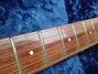 Rickenbacker 350/6 V63, Mapleglo: Neck - Front