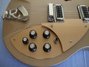 Rickenbacker 330/6 Mod, Desert Gold: Free image