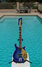 Rickenbacker 660/6 , Blueburst: Free image2