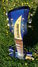 Rickenbacker 660/6 , Blueburst: Close up - Free2