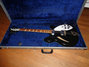 Rickenbacker 360/6 , Black: Full Instrument - Front