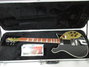 Rickenbacker 660/6 , Jetglo: Free image