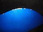 Rickenbacker 330/6 , Midnightblue: Free image