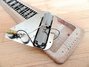 Rickenbacker 100/6 Electro, Gray: Free image