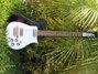 Rickenbacker 450/12 Setneck, Black: Full Instrument - Front